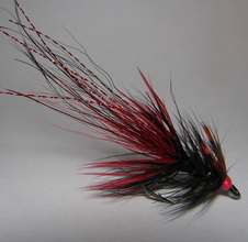 Pot Belly Pig Black  Red Kumho � 6